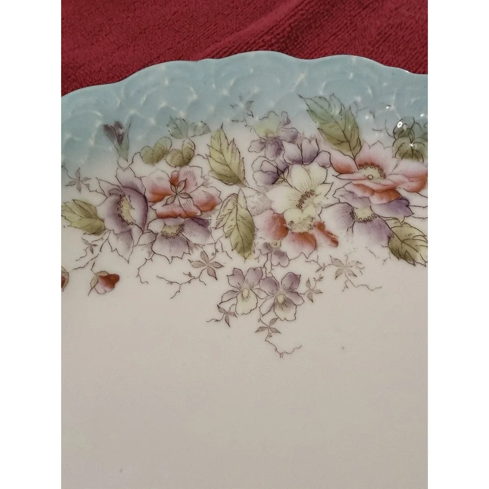 Antique Floral Cake Plate Aqua Blue Embossed Rim Pink Wild Roses 10